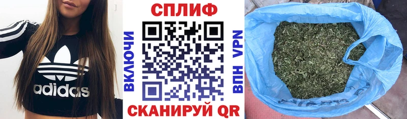 Бошки Шишки планчик  Купить  Власиха 